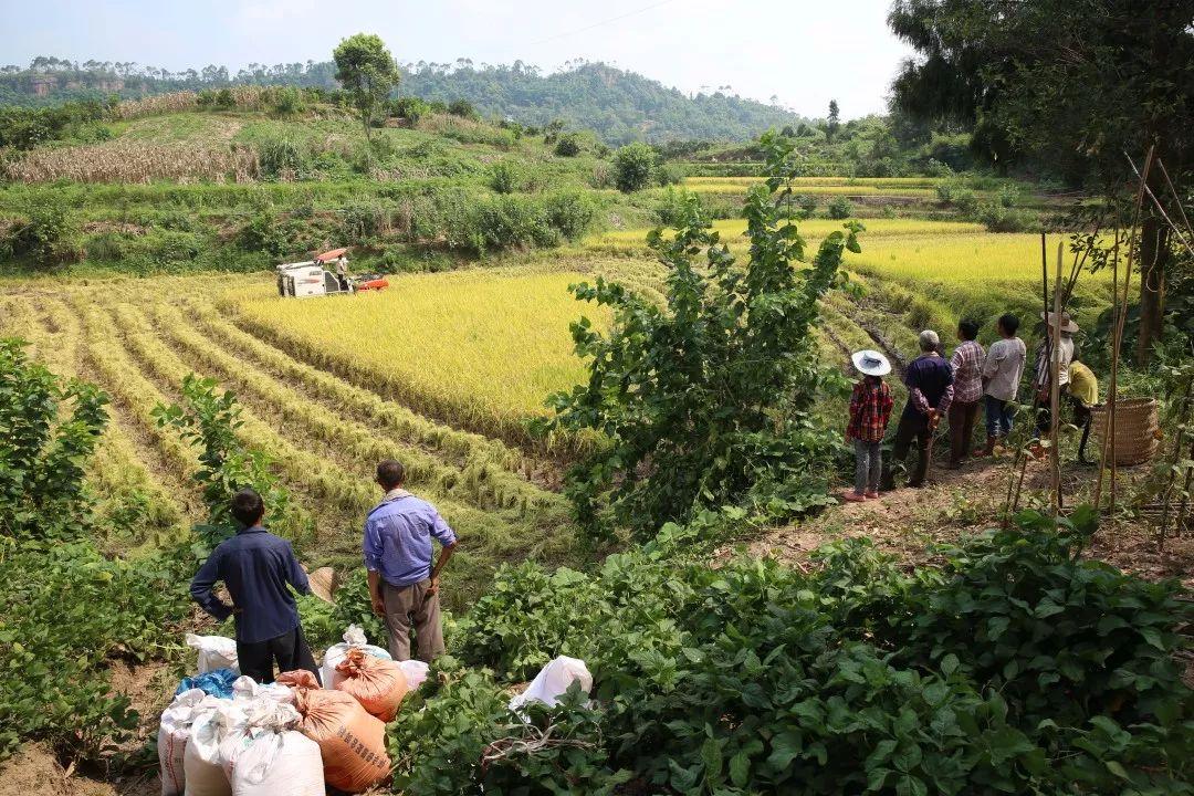 三环渝北段征地最新动态，深入解读与全方位分析