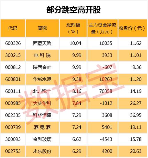 赛轮金宇最新十大股东概览