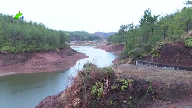 坭坝水映长山最新动态