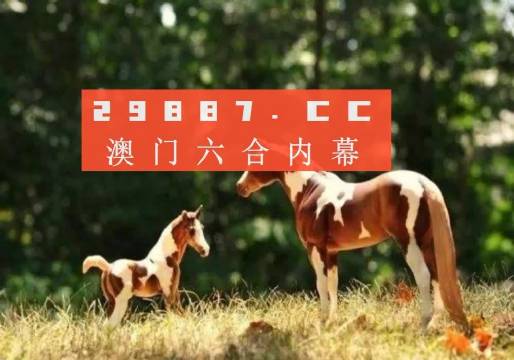 澳门今晚开特马四不像图，精选解析与精准预测
