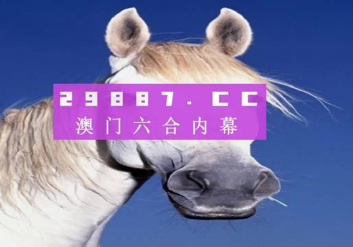 澳门一肖一码，全面释义与深度解析