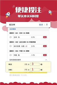 香港与澳门开奖历史记录，实用释义、解释与落实