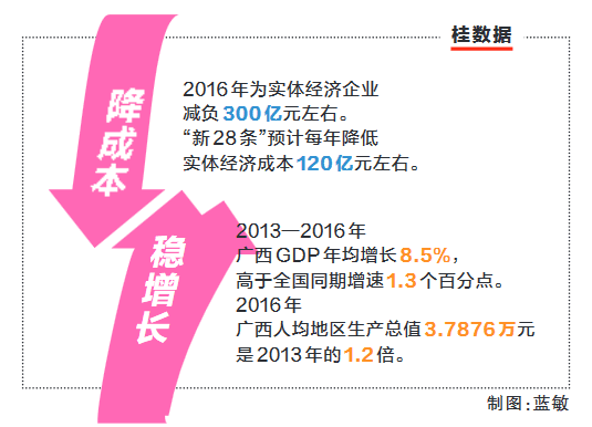 精准施策，一肖一码一特一中的精选解析与有效落实