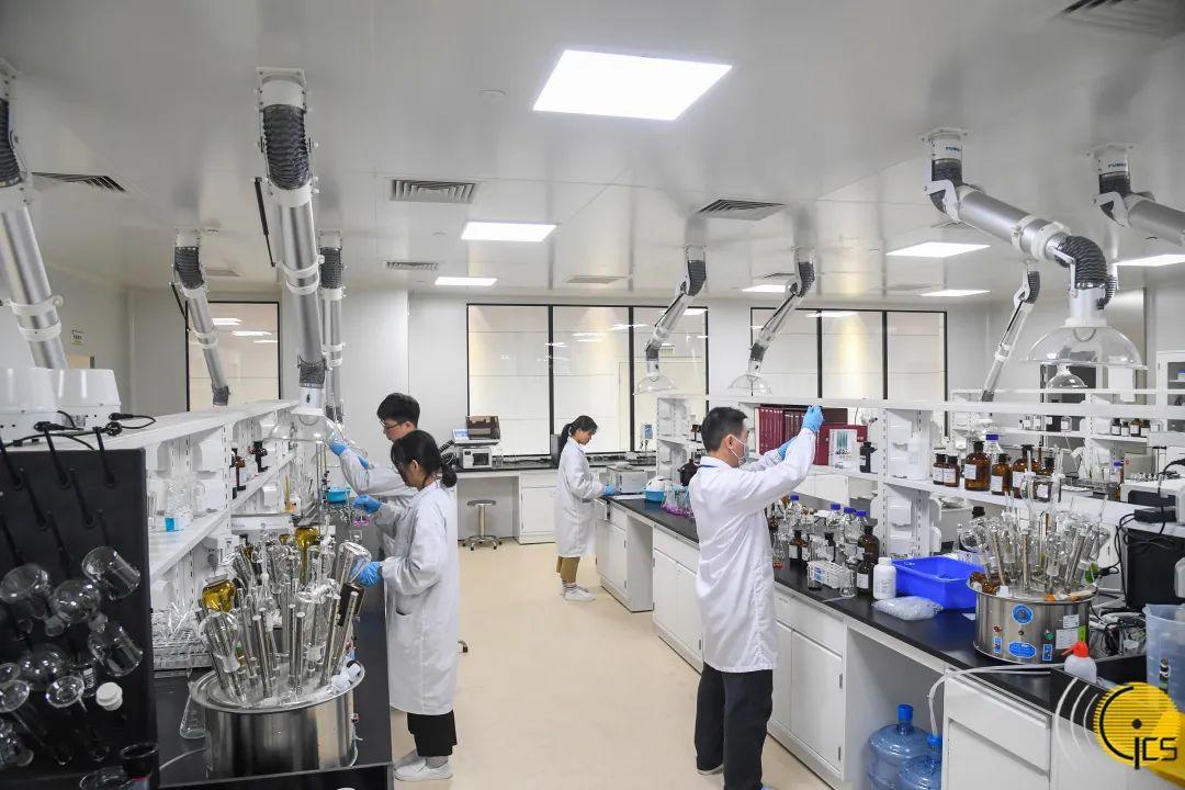澳门精准免费大全，词语释义、解释与落实策略