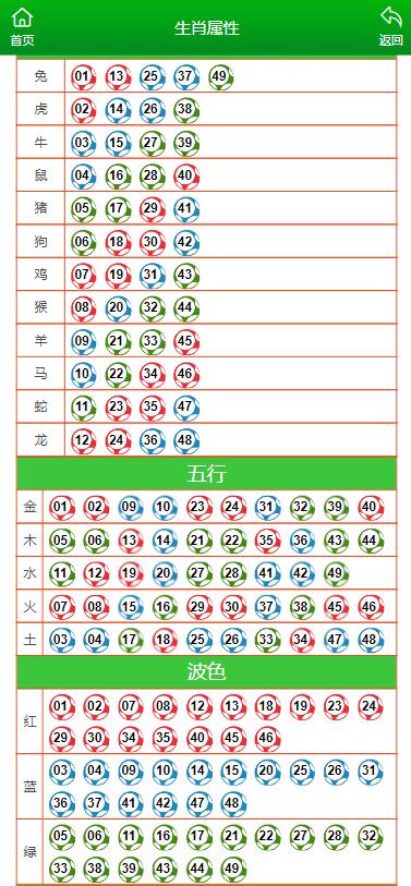 澳门王马王中王资料详解，实用释义、解释与落实
