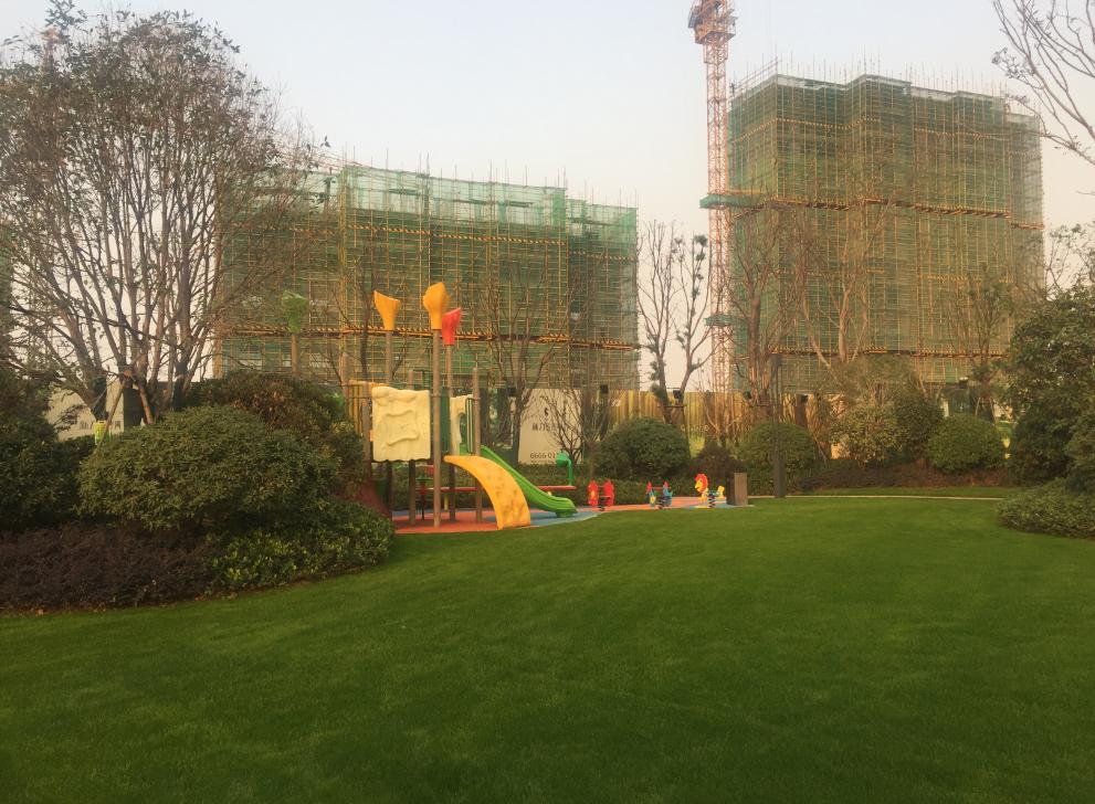 探索新澳今晚三中三必100的实用释义与理性思考