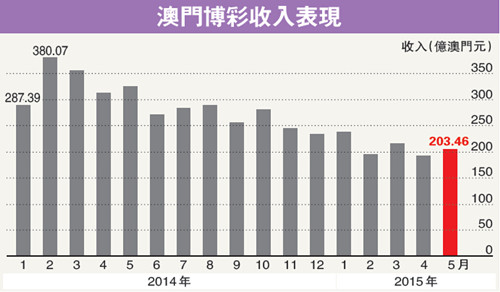 澳门王中王，文化、经济与社会的深度解析
