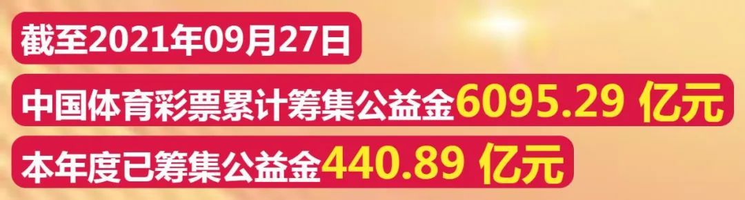 探索未来彩票奥秘，一肖一码一中一特的实用释义、解释与落实策略至2025年