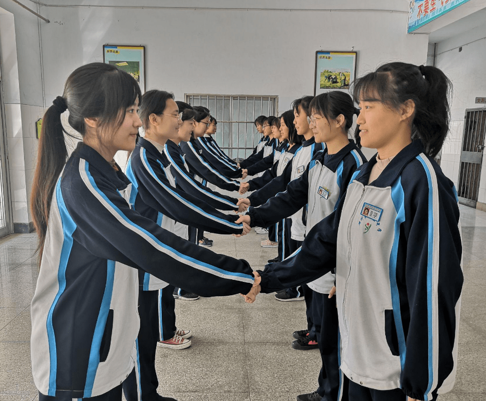 澳门免费资料大全集2025年公开，精选解析与未来落实展望