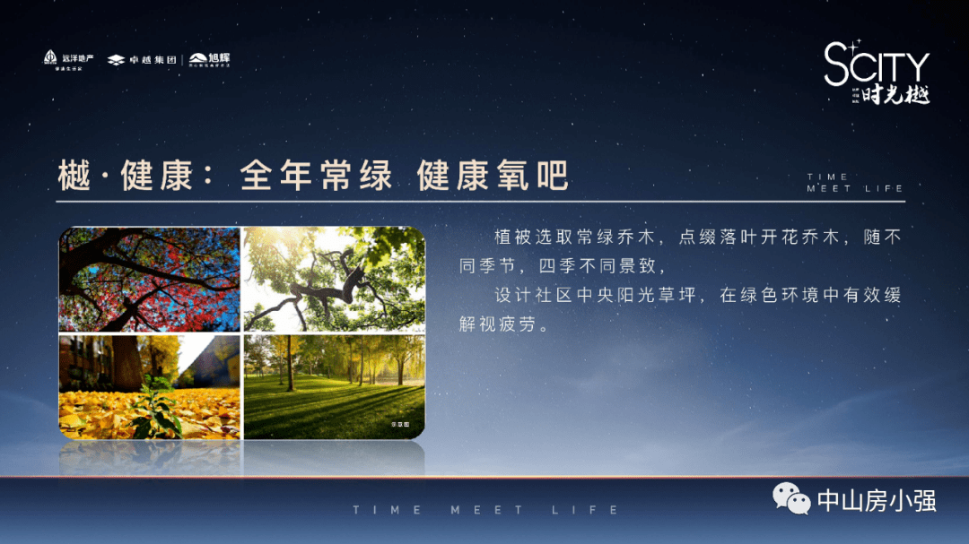 新澳天天开奖资料大全第1050期精选解析与深入解读