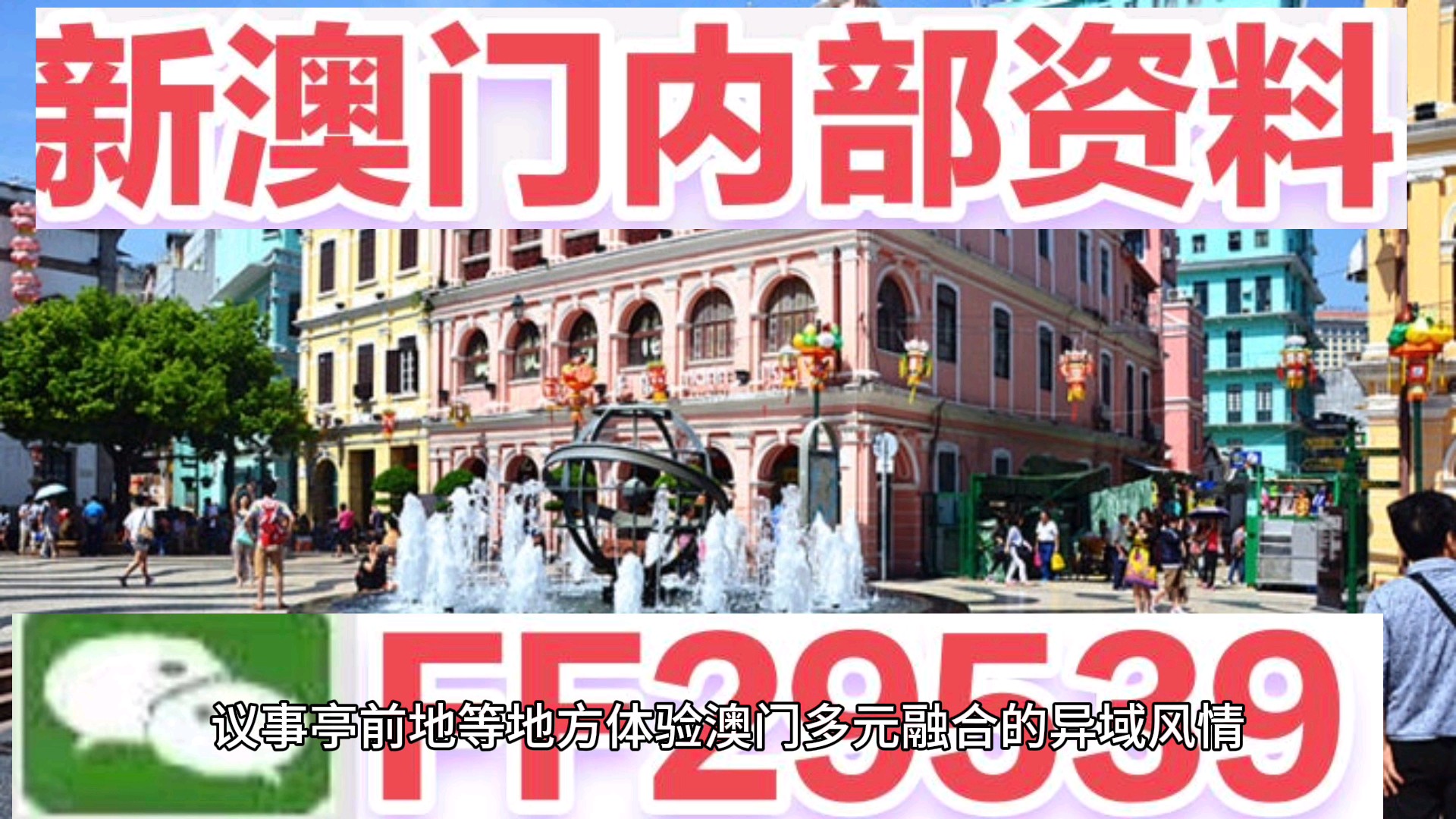 澳门特马今晚开奖结果，实用释义与解释落实