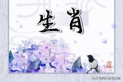 揭秘今晚9点30开什么生肖，2025年精选解析与解释落实