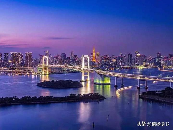 新澳门2025年正版免费公开，释义解释与落实展望
