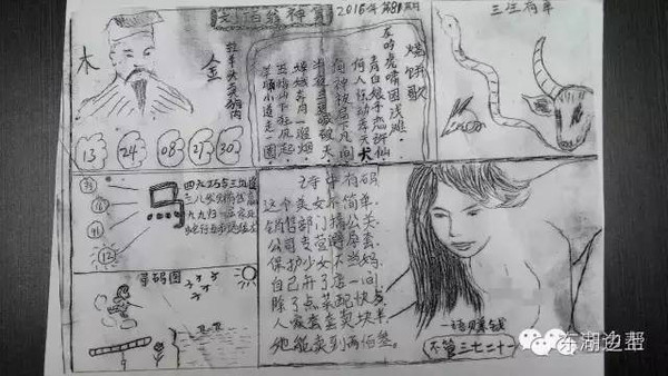管家婆白小姐四肖精选解析，揭秘背后的秘密与落实之道