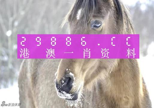 澳门一肖一码100%准确免费资料解析与落实精选策略