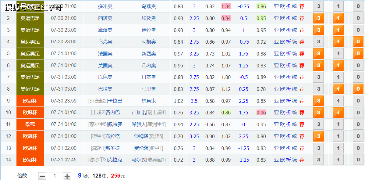 王中王72396澳彩资料，实用释义与解释落实的重要性