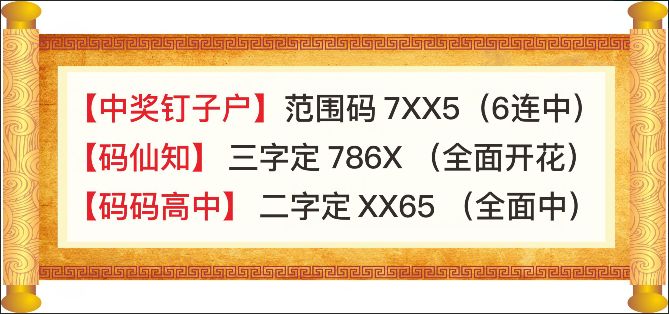 澳门特马今晚开什么码，解析、解释与落实精选策略
