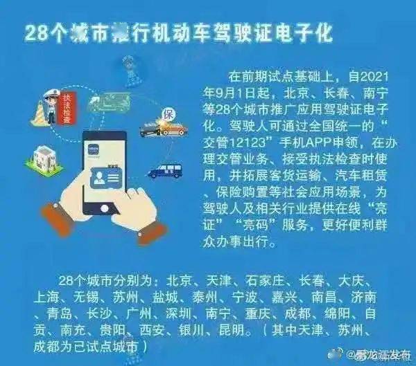 精准管家婆凤凰网，全面释义与落实策略