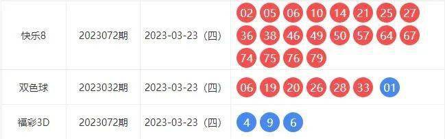 新澳彩票精选解析，揭秘彩票背后的秘密与落实策略
