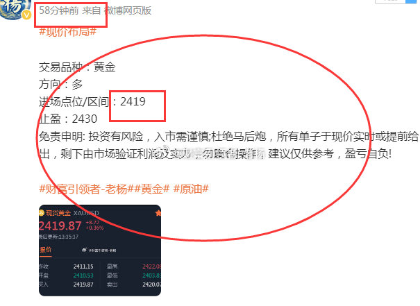 一码中持一一肖一码，精选解析、深入解释与具体落实的策略分析