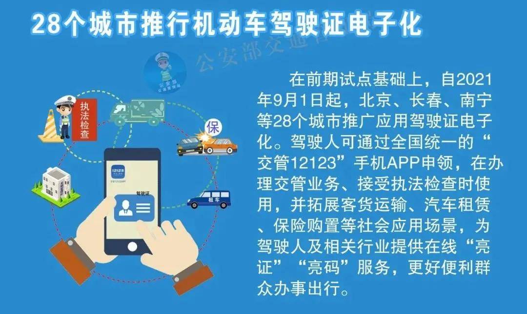 2025正版资料免费大全精准，深度解析与落实策略