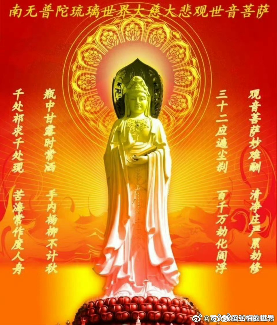 精准管家婆与观音菩萨的关怀，全面释义与落实行动