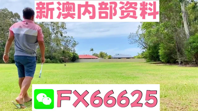 王中王一码一肖一特一中一，全面解析与释义