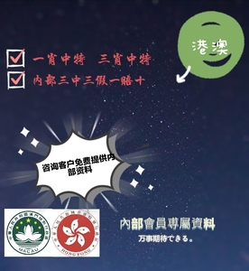 大三巴一肖一码资料，全面释义、解释与落实