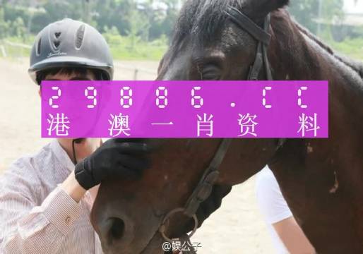 澳门必开一肖一码一中，深度解读与词语释义落实