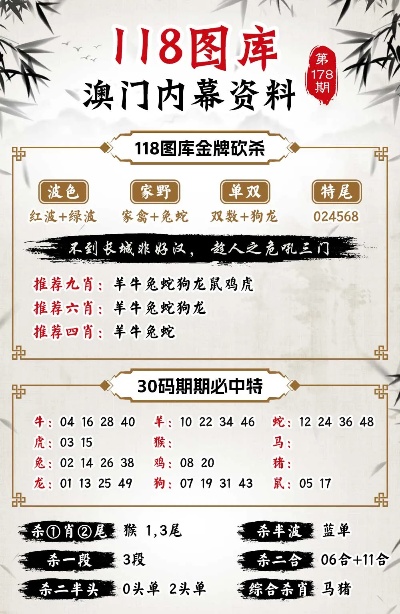 揭秘澳门新码记录，解析未来趋势与落实策略