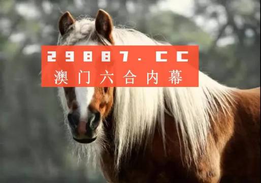 澳门一肖一码，揭秘精准预测背后的真相与全面释义解释落实