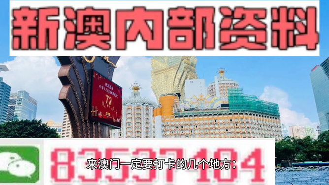 澳门最精准免费资料大放送，深度解析与词语释义落实