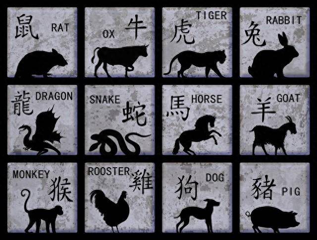 一五单门做主角，揭秘生肖背后的神秘力量