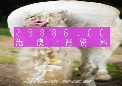 今晚一肖一码澳门一肖四不像，全面释义与解释落实