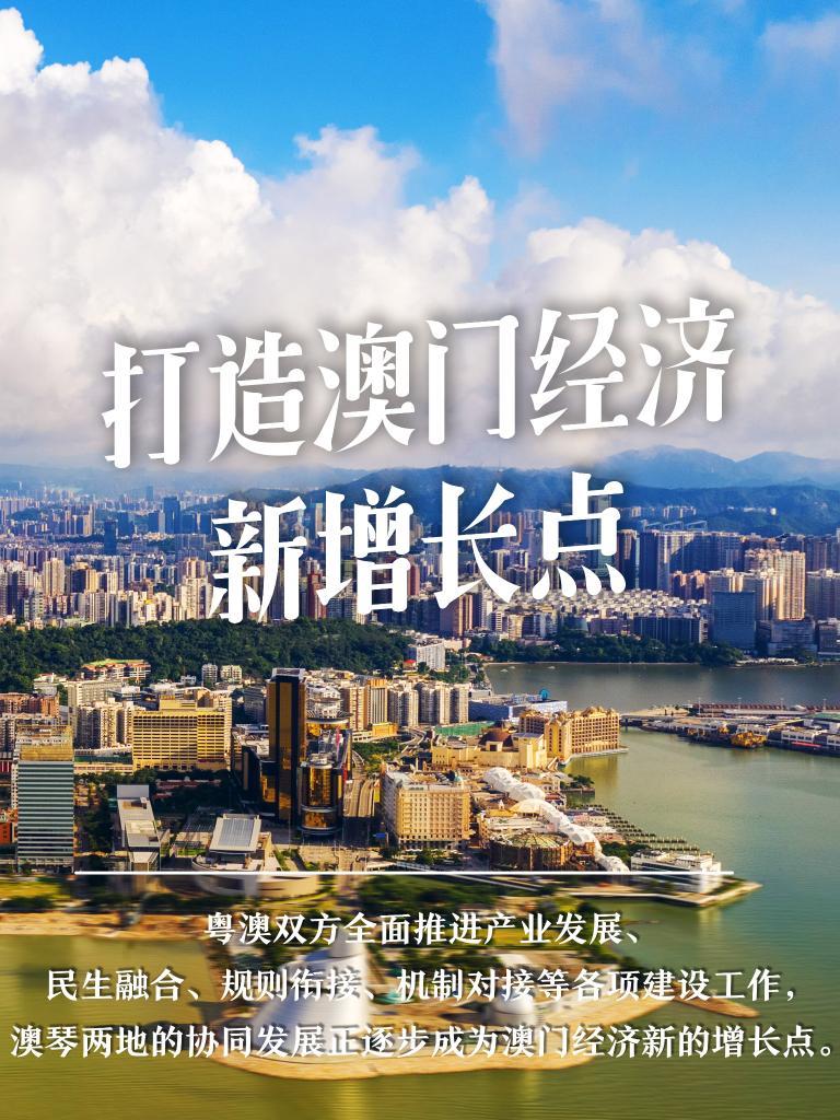 探索与解读，澳门正版免费正题在2025年的全面释义与落实