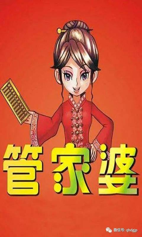 澳门管家婆的极致服务，100%落实与词语释义解释