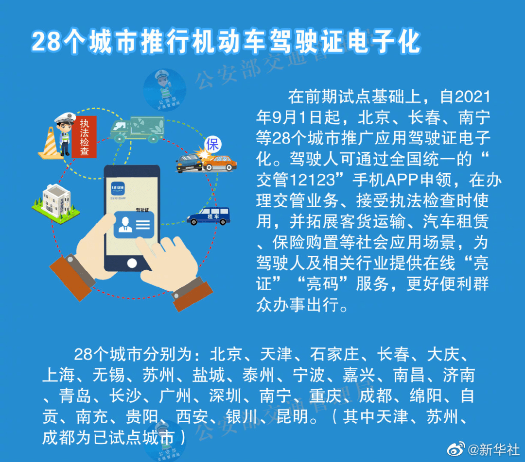 澳门正版精准资料解析与落实策略，展望未来2025年